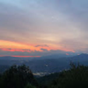 Meet your Posher, Cali